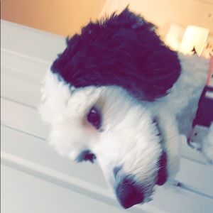 Meet your Posher, Estella